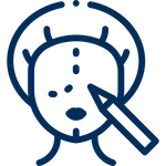 ศัลยกรรมความงามบนใบหน้า
