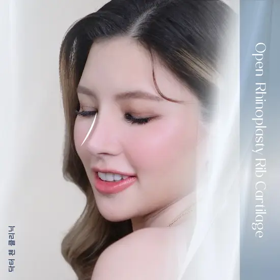 แก้จมูก/เสริมจมูก 