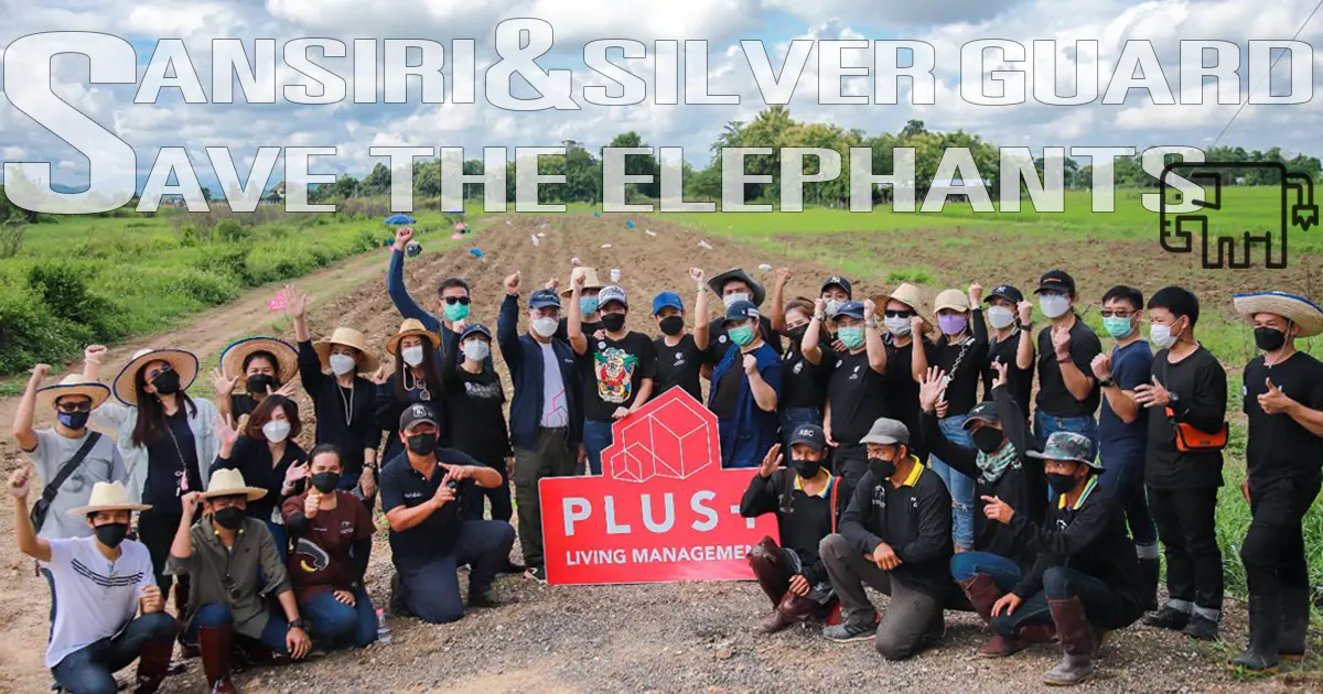 No One Left Behind ปลูกหญ้าและพืชอาหารให้ช้างไทย