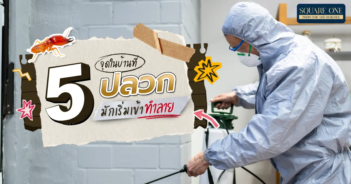 5 จุดในบ้านที่ปลวกมักเริ่มเข้าทำลาย