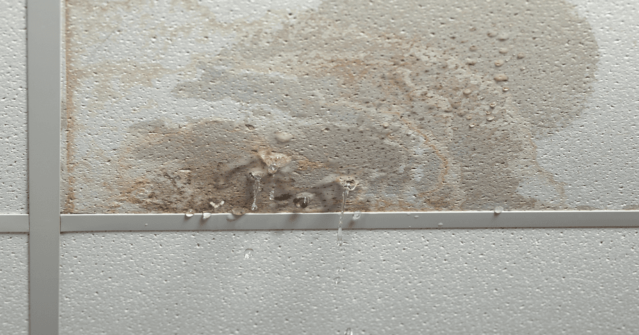 ป้องกันปัญหาน้ำรั่วซึมและความชื้น