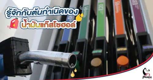 รู้จักกับต้นกำเนิดของน้ำมันแก๊สโซฮอล์