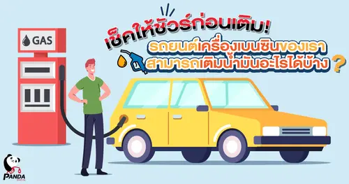 เช็คให้ชัวร์ก่อนเติม! รถยนต์เครื่องเบนซินของเราสามารถเติมน้ำมันอะไรได้บ้าง?