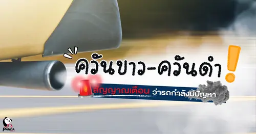 ควันขาว-ควันดำจากรถ! สัญญาณเตือนว่ารถกำลังมีปัญหา