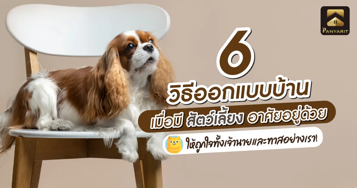 6 วิธีออกแบบบ้าน เมื่อมี สัตว์เลี้ยง อาศัยอยู่ด้วย ให้ถูกใจทั้งเจ้านายและทาสอย่างเรา!  6 วิธีออกแบบบ้าน เมื่อมี สัตว์เลี้ยง อาศัยอยู่ด้วย ให้ถูกใจทั้งเจ้านายและทาสอย่างเรา!