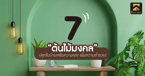 7 ต้นไม้มงคล ปลูกในบ้านเสริมความเฮง เพิ่มความร่ำรวย!