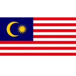 Malaysian Influencer