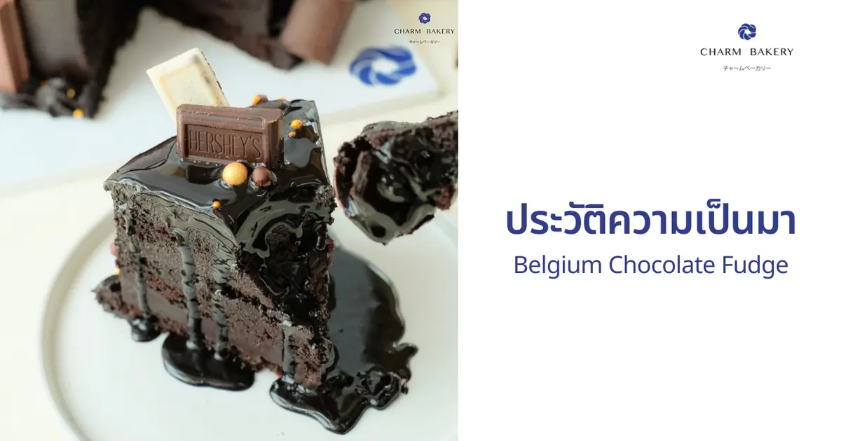 ประวัติความเป็นมาของ Belgium Chocolate Fudge Cake ประวัติความเป็นมาของ Belgium Chocolate Fudge Cake