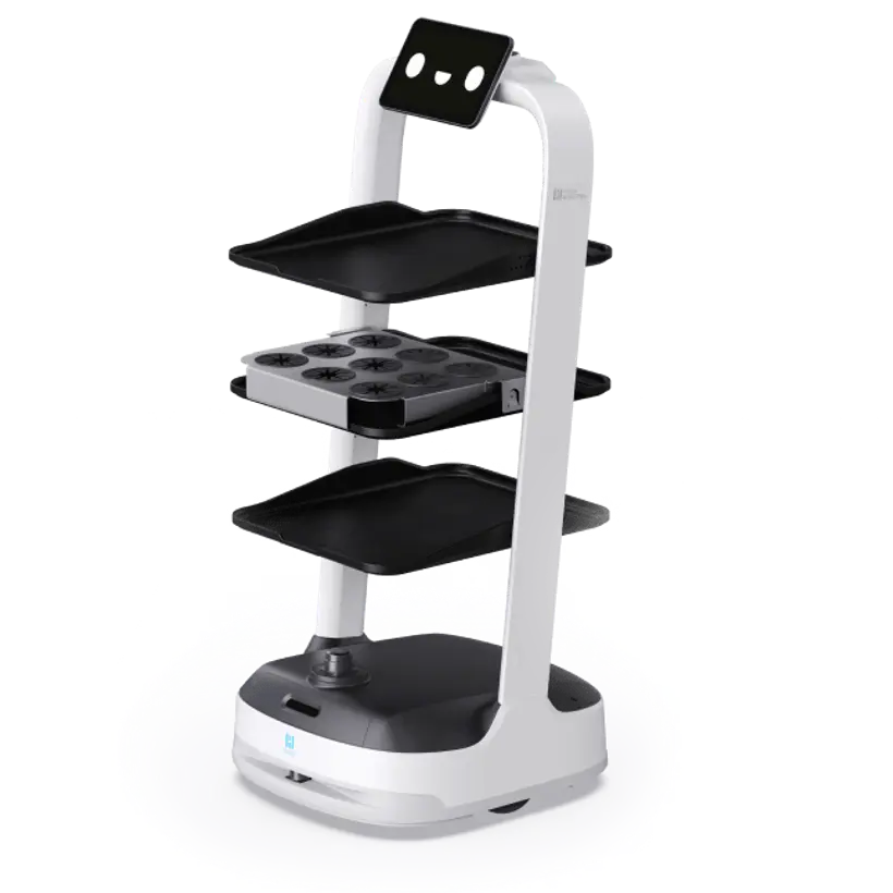 Pudubot2 หุ่นยนต์ส่งของ