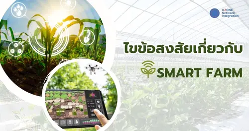 ไขข้อสงสัยเกี่ยวกับ Smart Farm