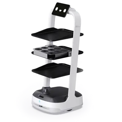 Pudubot2 หุ่นยนต์ส่งของ