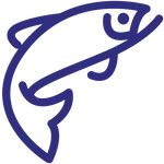 วัตถุดิบเกรดพรีเมี่ยม