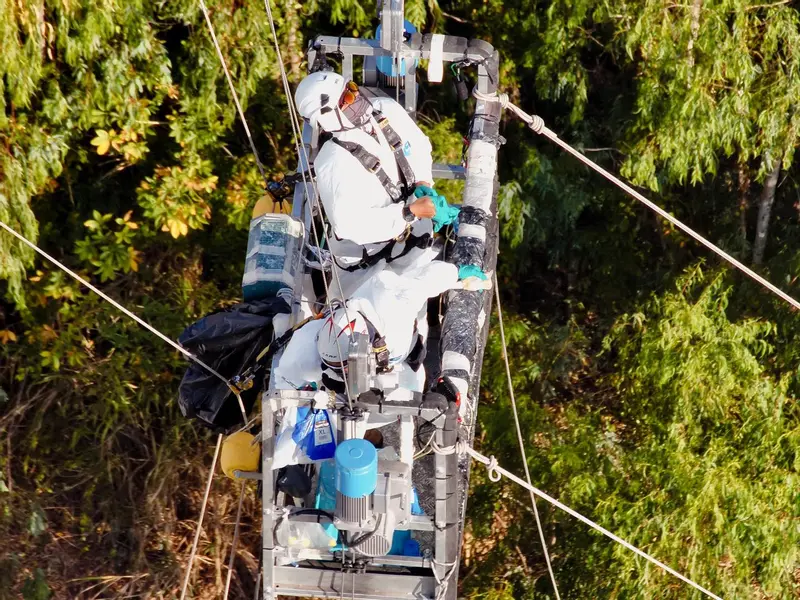 LDP WIND ENERGY SERVICES