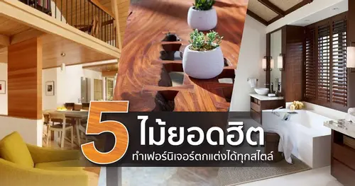 5 ไม้ยอดฮิต ทำเฟอร์นิเจอร์ตกแต่งได้ทุกสไตล์
