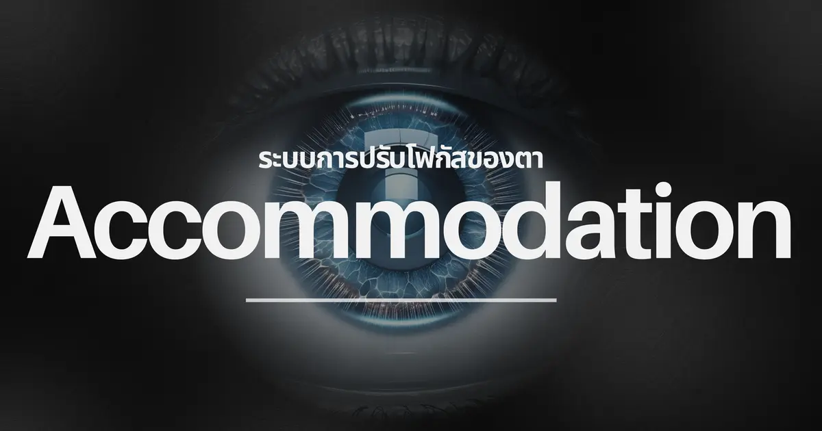 มารู้จักกับระบบการปรับโฟกัสของตากันค่ะ