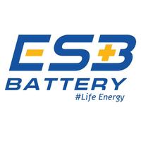 ESB BATTERY
