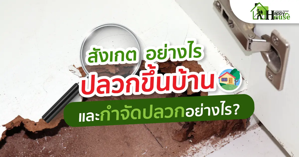 สังเกตอย่างไร ว่าปลวกขึ้นบ้าน และกำจัดปลวกอย่างไร