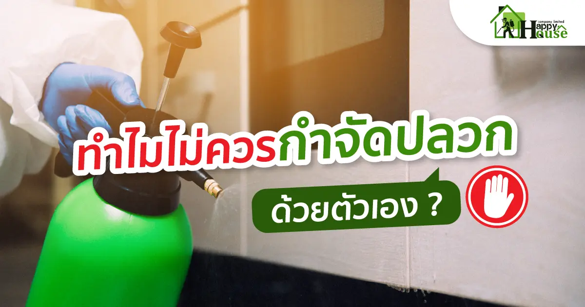 ทำไมไม่ควรกำจัดปลวกด้วยตัวเอง ?