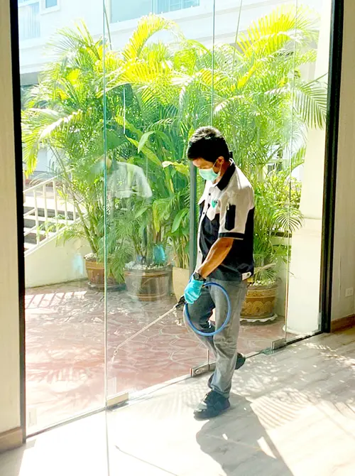 除-预防白蚁服务