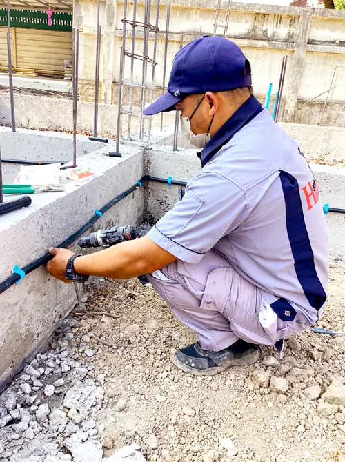 系统预防白蚁管道服务.