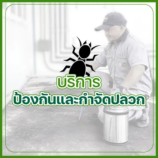 บริการป้องกันและกำจัดปลวก