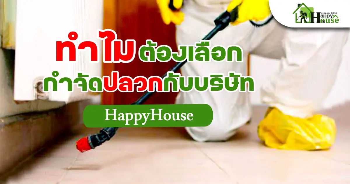 ทำไมต้องเลือก กำจัดปลวกกับบริษัท Happy House ทำไมต้องเลือก กำจัดปลวกกับบริษัท Happy House