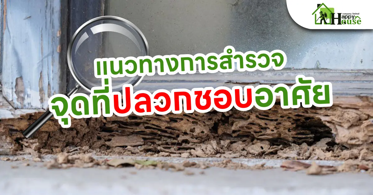 แนวทางการสำรวจจุดที่ปลวกชอบอาศัย