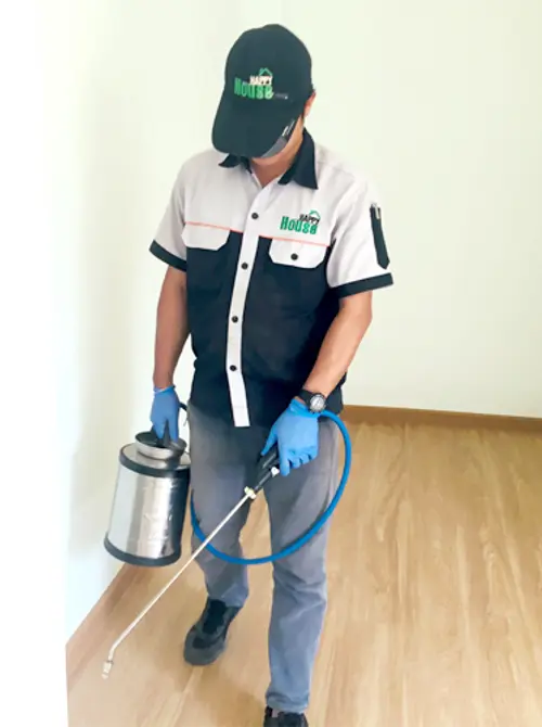 除-预防白蚁服务