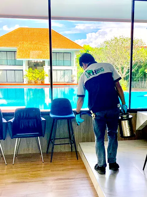 除-预防白蚁服务