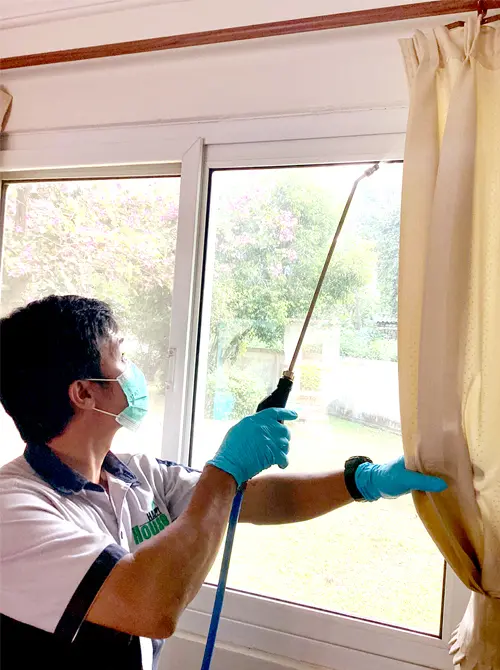 除-预防白蚁服务