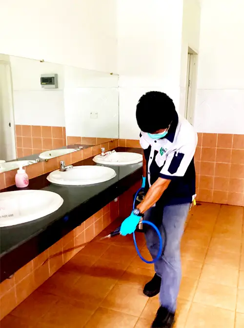 除-预防白蚁服务