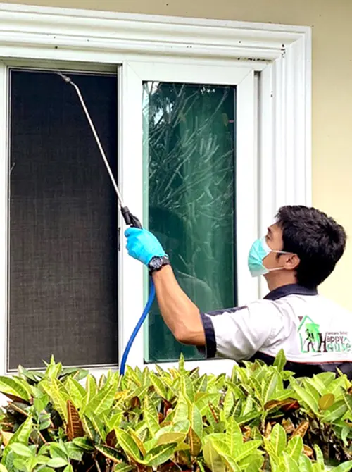 除-预防白蚁服务