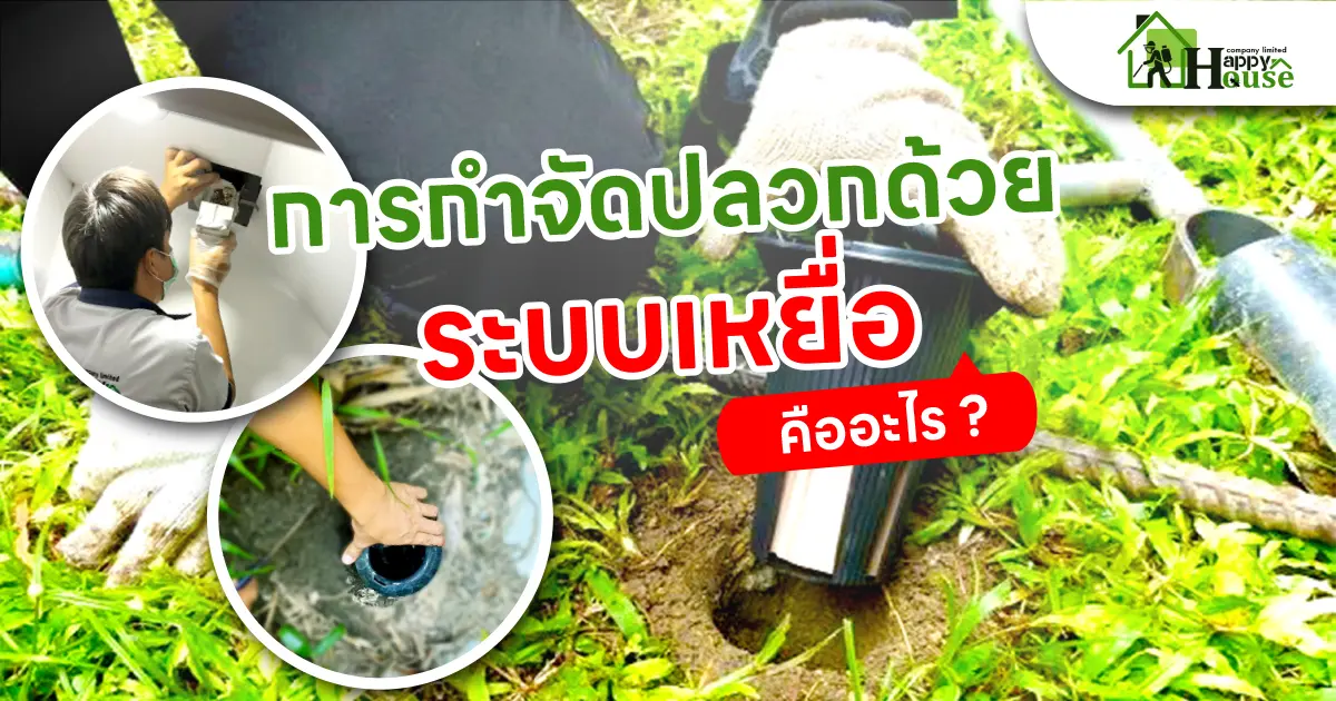 การกำจัดปลวกด้วยระบบเหยื่อ คืออะไร?