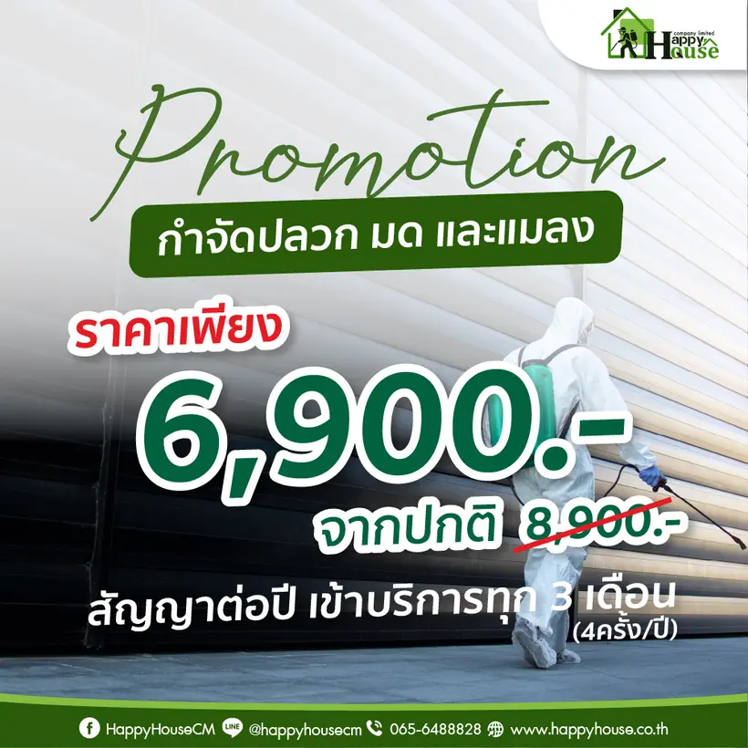 สุดคุ้ม! กำจัดปลวก มด และแมลงสาบ สัญญาต่อปี เข้าบริการทุก 3 เดือน