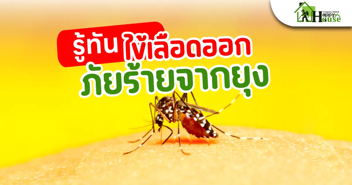 รู้ทันไข้เลือดออก ภัยร้ายจากยุง
