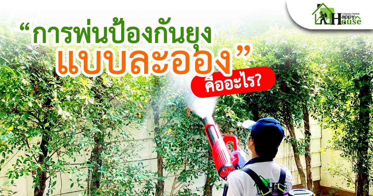 "การพ่นป้องกันยุงแบบละออง" คืออะไร?