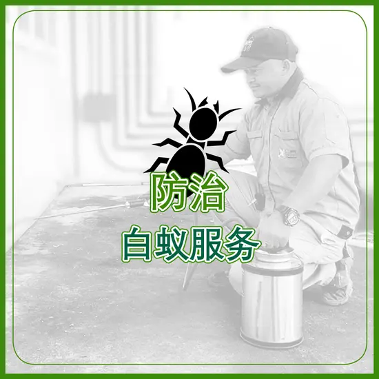 防治 白蚁服务