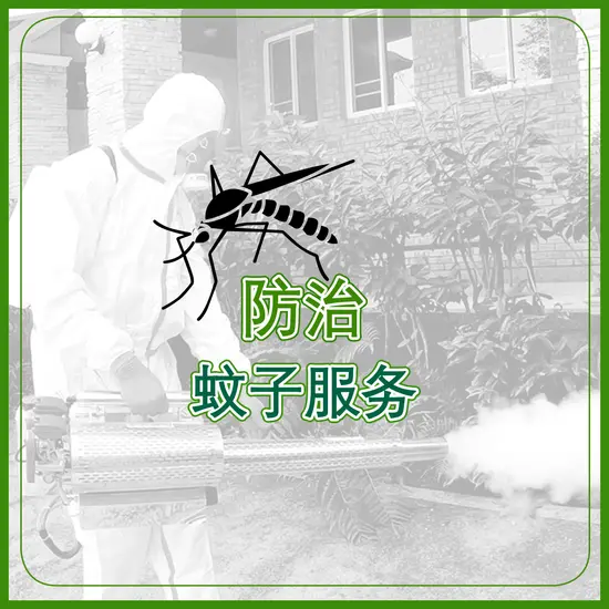 防治 蚊子服务  