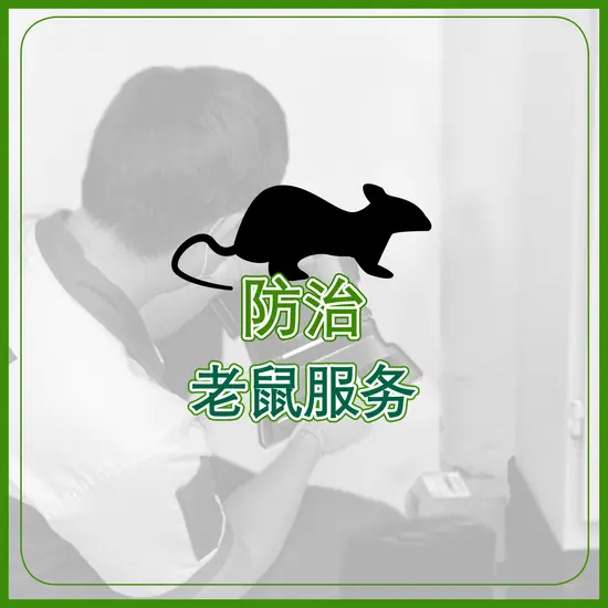 防治 老鼠服务  