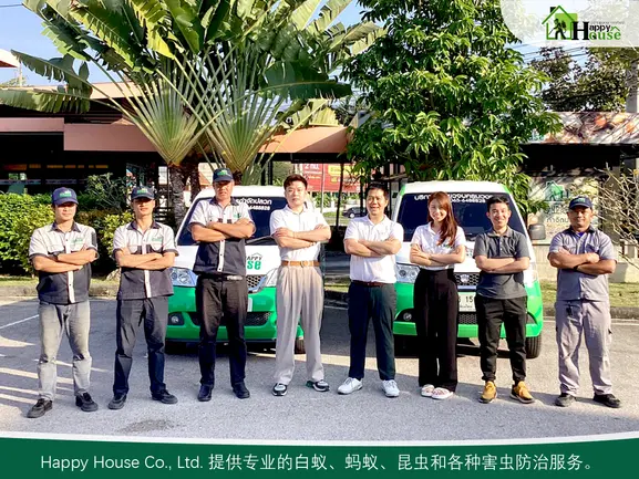  清迈 家家乐除白蚁公司