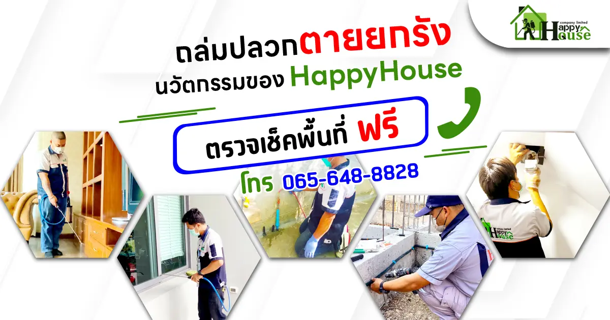 ถล่มปลวก ตายยกรังนวัตกรรมของHappyHouse ถล่มปลวก ตายยกรังนวัตกรรมของHappyHouse