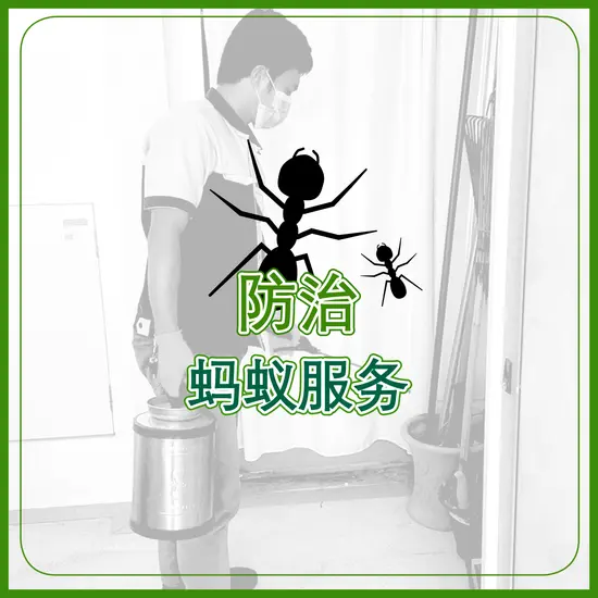 防治蚂蚁服务 防治蚂蚁服务
