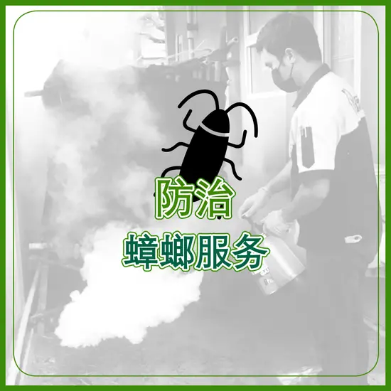 防治蟑螂服务 防治蟑螂服务