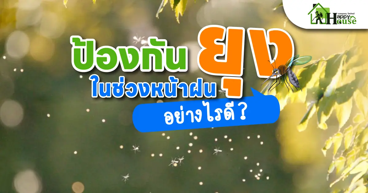 ป้องกันยุงในช่วงหน้าฝน ยังไงดี?