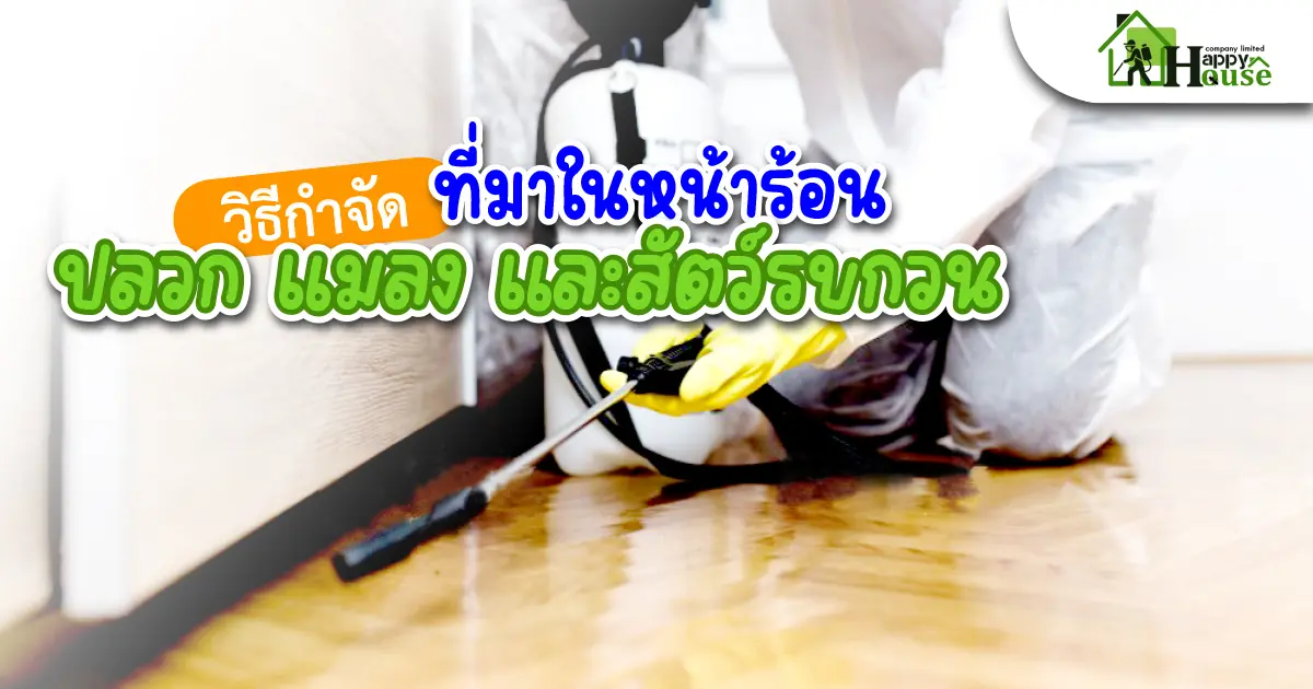 วิธีกำจัดปลวก แมลงและสัตว์รบกวนที่มาในหน้าร้อน วิธีกำจัดปลวก แมลงและสัตว์รบกวนที่มาในหน้าร้อน