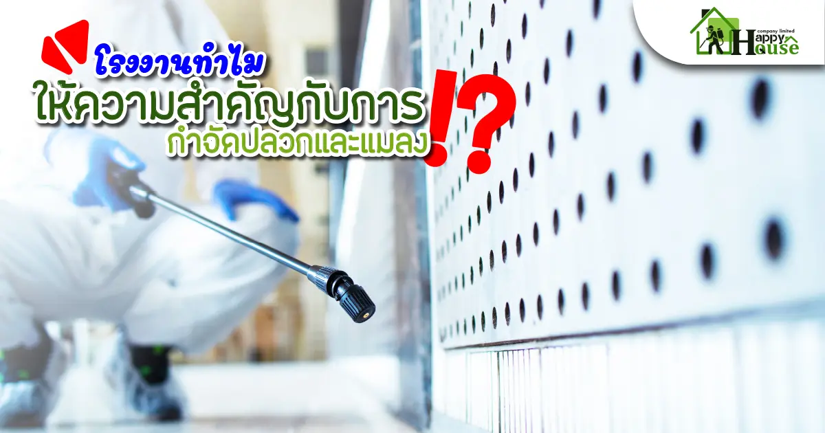 โรงงานทำไมให้ความสำคัญกับการกำจัดปลวกและแมลง โรงงานทำไมให้ความสำคัญกับการกำจัดปลวกและแมลง