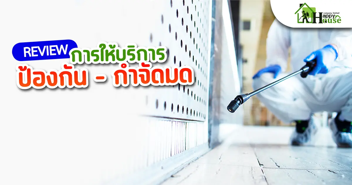 รีวิวการบริการป้องกัน-กำจัดมด รีวิวการบริการป้องกัน-กำจัดมด