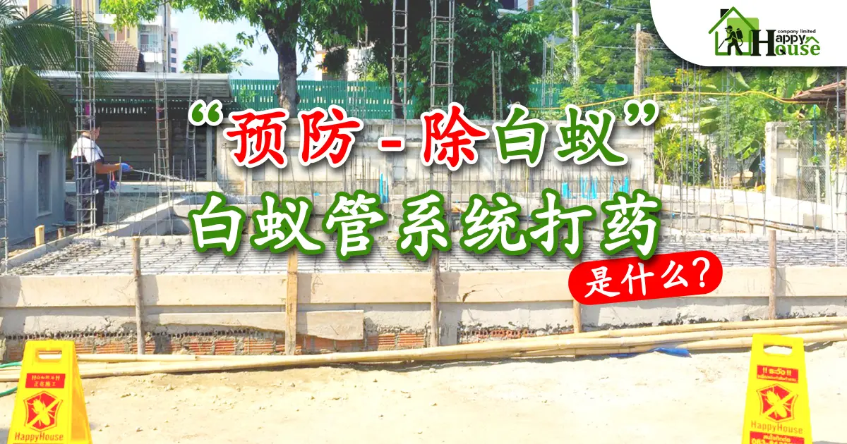 “预防 - 除白蚁”白蚁管系统打药是什么?