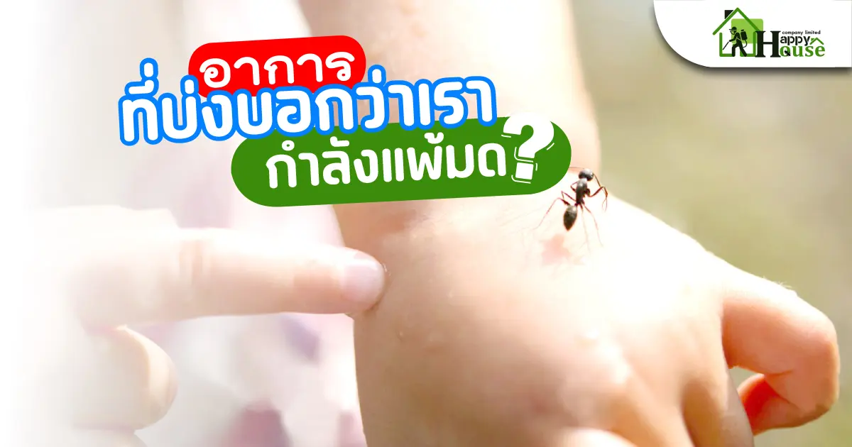 อากาเราบ่งบอกว่าเรา กำลังแพ้มด อากาเราบ่งบอกว่าเรา กำลังแพ้มด