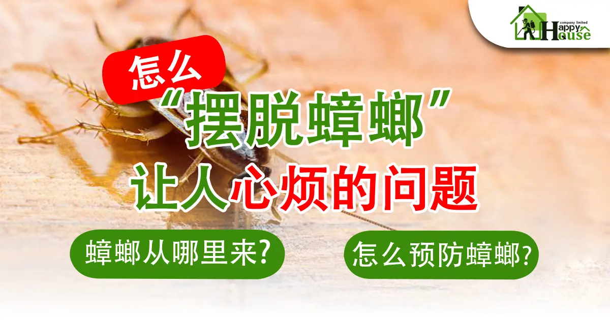 怎么  “摆脱蟑螂” 让人心烦的问题 蟑螂从哪里来?  怎么预防蟑螂?